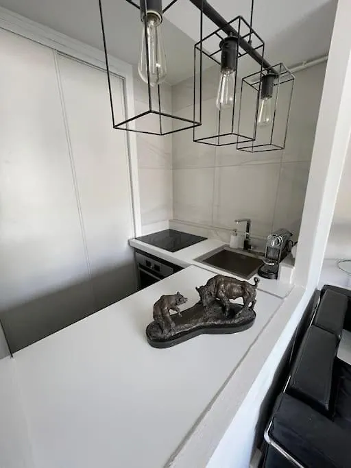 French Design Commerces Apartment Paris